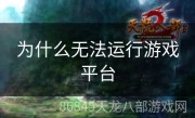 为什么无法运行游戏平台