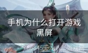 手机为什么打开游戏黑屏