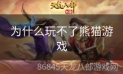 为什么玩不了熊猫游戏