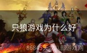 只狼游戏为什么好