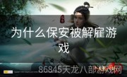 为什么保安被解雇游戏